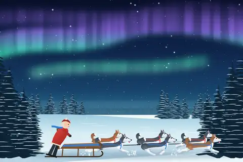 Slædehunde i nordlys